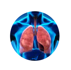 Respiratory
